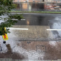 画像255