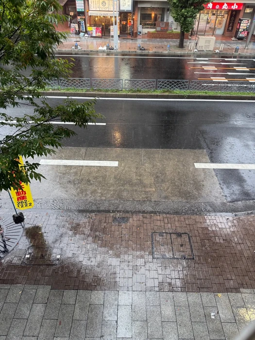 画像255